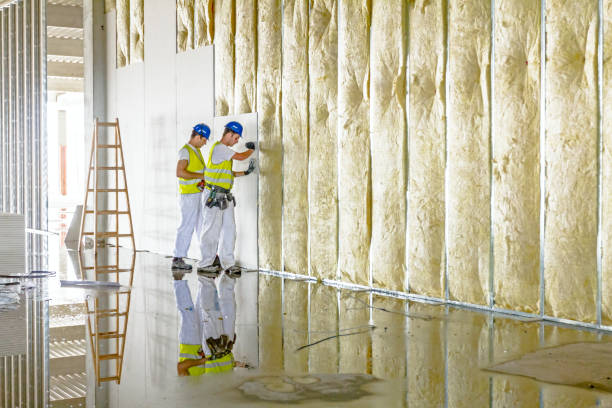 Best Eco-Friendly Insulation in Staic, CA
